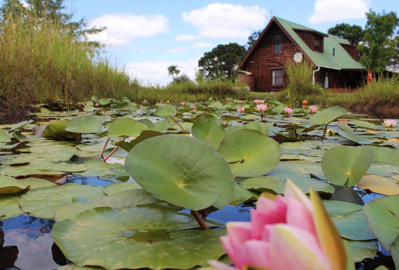 A Log Home At Buffalo Creek Buffeljagsrivier Exterior foto
